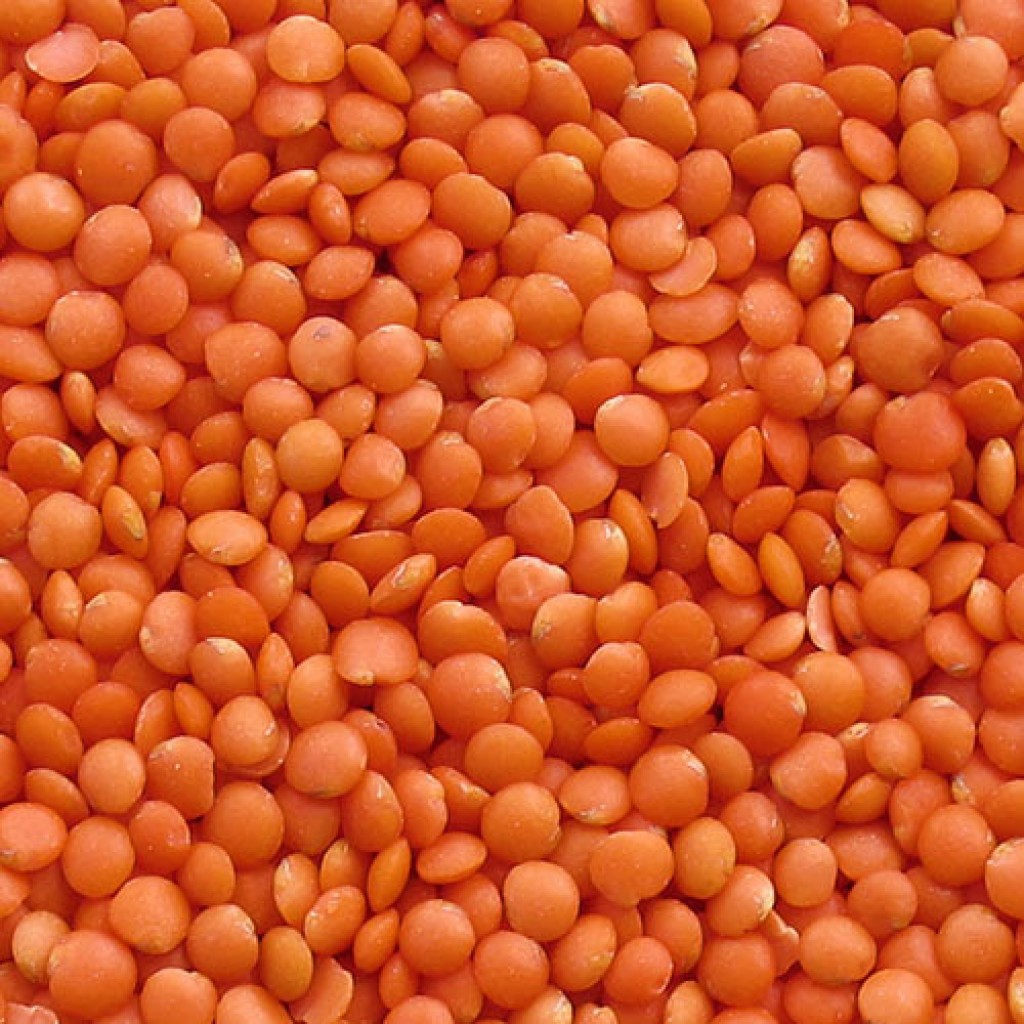  عکس دال عدس